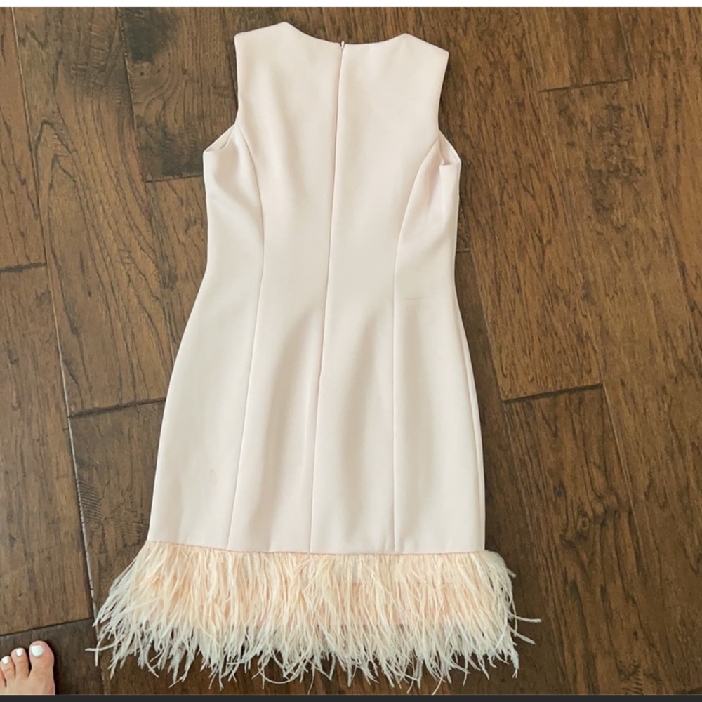 Light pink dress with feathered hen. Fits perfect true to size